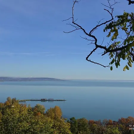 B B Affittacamere 3*