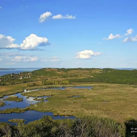 B B ゲストハウス ティハニ